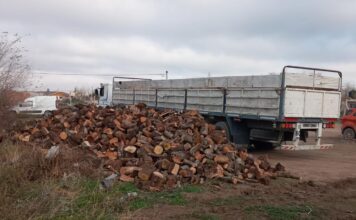 Ya está en Las Perlas la leña que envió Desarrollo Humano de provincia