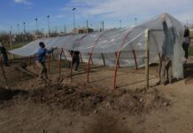 Invernaderos, miles de oportunidades