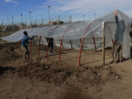 Invernaderos, miles de oportunidades