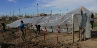 Invernaderos, miles de oportunidades