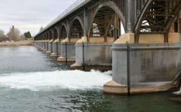 29 de agosto, títulos del día