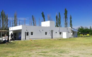 Gripe aviar: el impacto en la producción visto por un veterinario perlense