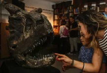 Dinosaurios y otras bestias prehistóricas en el CCC