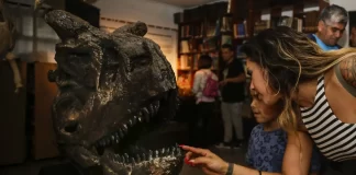 Dinosaurios y otras bestias prehistóricas en el CCC