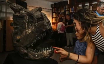 Dinosaurios y otras bestias prehistóricas en el CCC