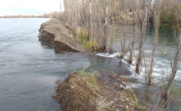 Sin presión en la red de Aguas Rionegrinas por tareas de mantenimiento