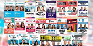 A siete días de las PASO, conocé todo lo que tenés que saber sobre estas elecciones en Río Negro y Neuquén