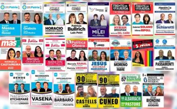 A siete días de las PASO, conocé todo lo que tenés que saber sobre estas elecciones en Río Negro y Neuquén
