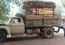 Preguntas en el país de la motosierra