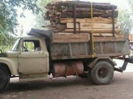 Preguntas en el país de la motosierra