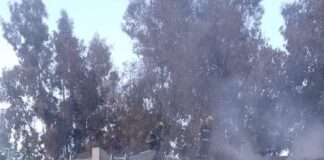 Incendio en la Esc. 223: la Justicia Electoral Nacional reubicó seis mesas de votación en el CEF N°13