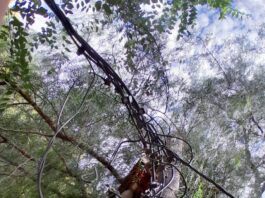 Pérdidas no técnicas: Edersa denuncio penalmente a un comerciante de Las Perlas