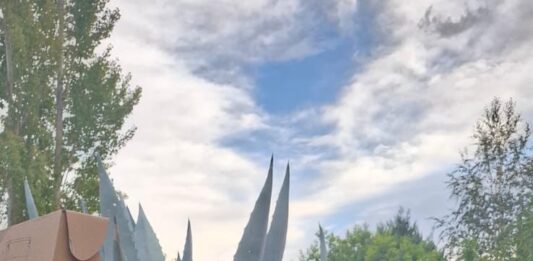 Los «enganchados VIP» de Neuquén también fueron denunciados penalmente